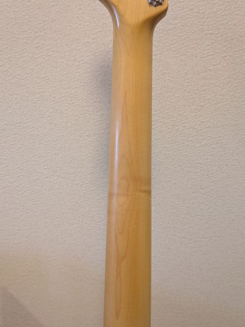 ギター FUJIGEN(FGN) Neo Classic SeriesNST20RAL