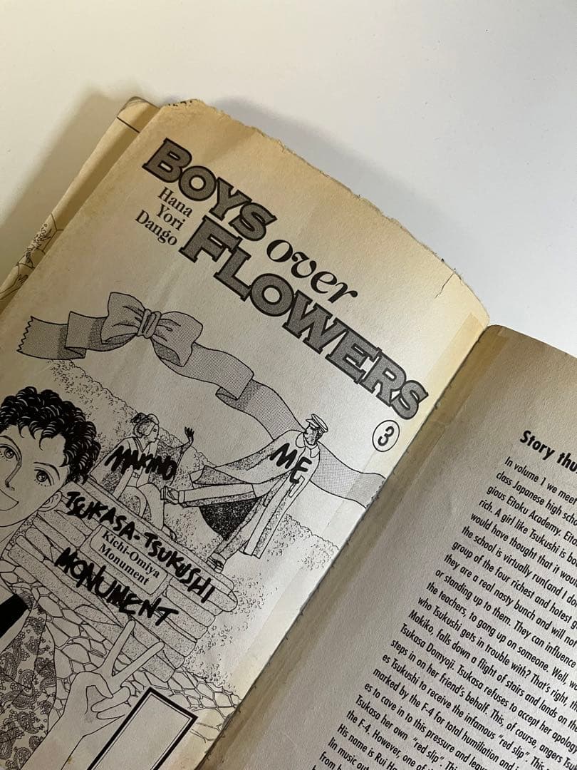 Boys Over Flowers 花より男子 英語版　1-12巻セット