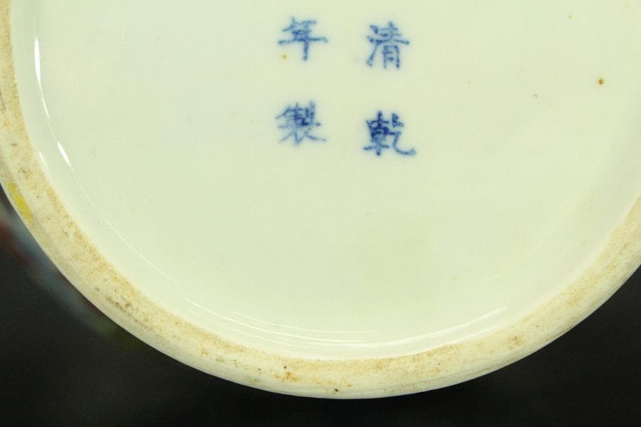 中国美術 門彩 色絵 水辺蓮花 瓶 高23cm(LC243)