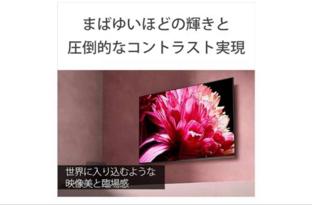 SONY 65V型 4Kテレビ KJ-65X9500G 液晶保護パネル付き