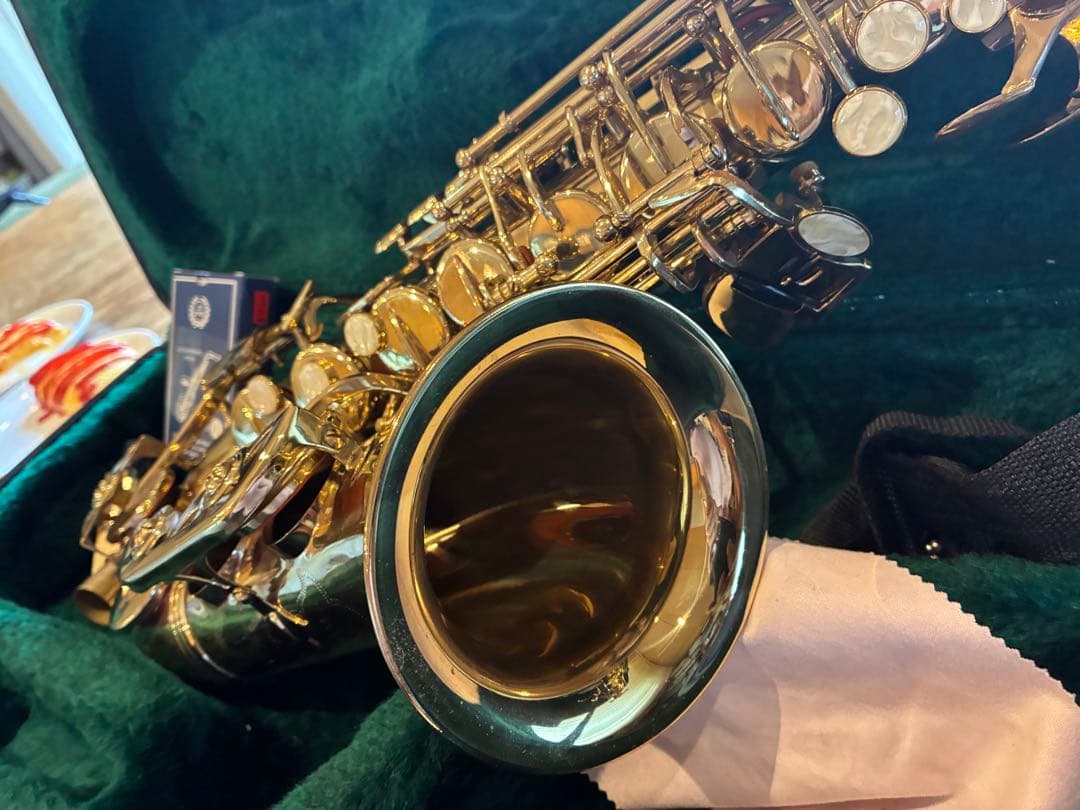 アルトサックス本体 ケース付　リード付　すぐ吹けます
