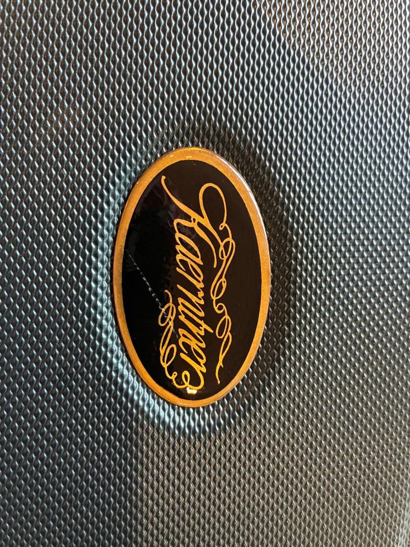 アルトサックス本体 ケース付　リード付　すぐ吹けます