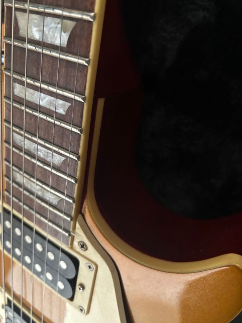 Burny RLG サスティナー ロック式トレモロ