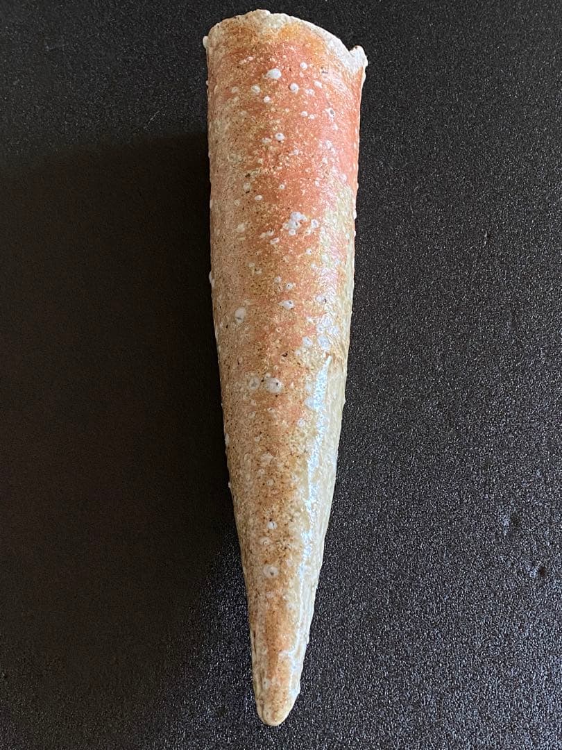 信楽焼　掛花入　井村侊生　　#85