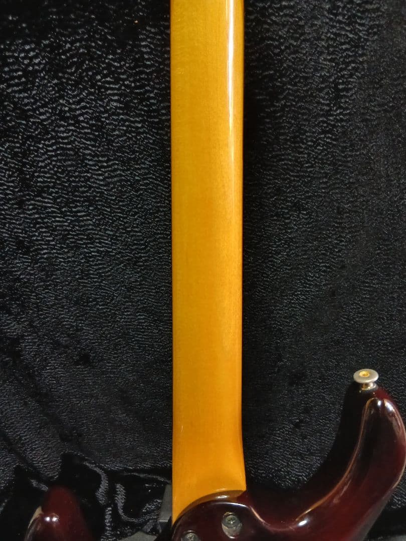 AriaproIIMAGNA Shires 中古ソフトケースシールドストラップ付