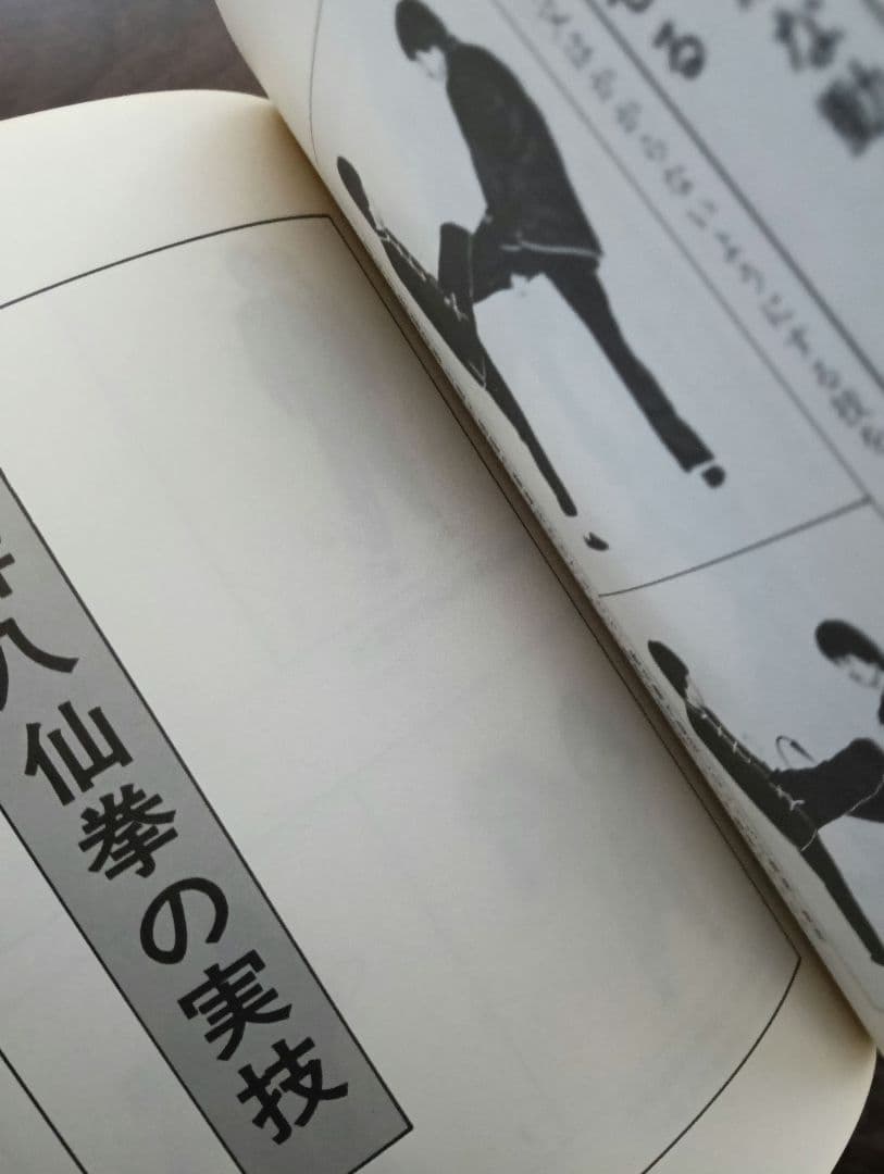 タイムセール 早い者勝ち！ ■ 全解 酔八仙拳 酔拳 カンフー