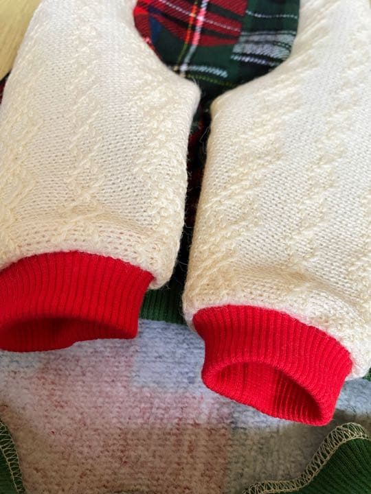 犬服  ラグラン Xmasカラー   ꒡̈⃝Lily꒡̈⃝ハンドメイド