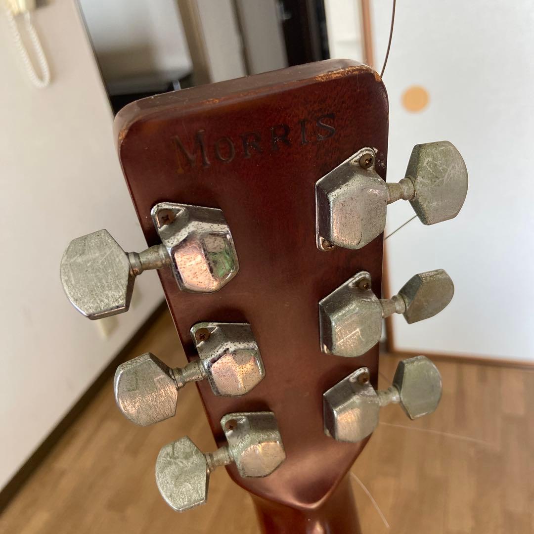 Morris W-20 アコースティックギター