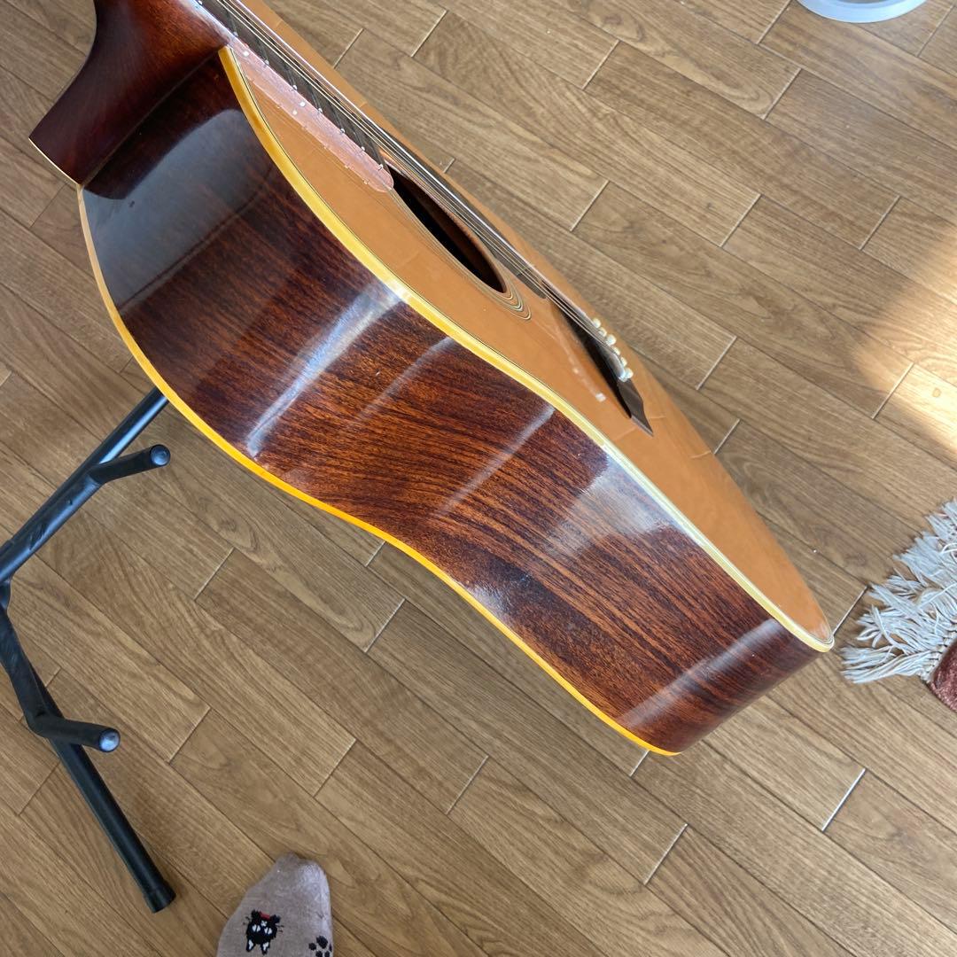 Morris W-20 アコースティックギター