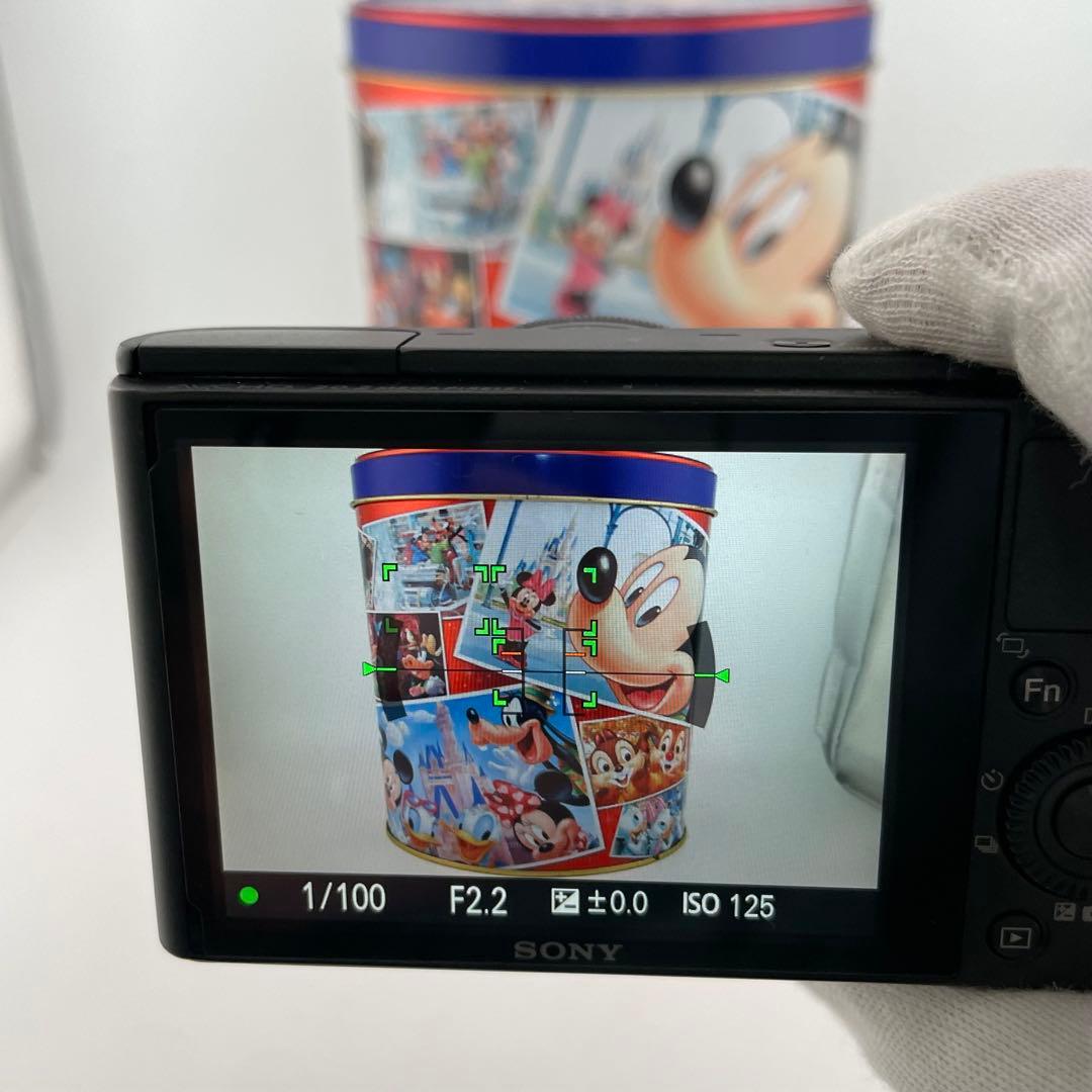 実写美⭕️美品【動作確認済み】SONY Cyber−Shot DSC-RX100
