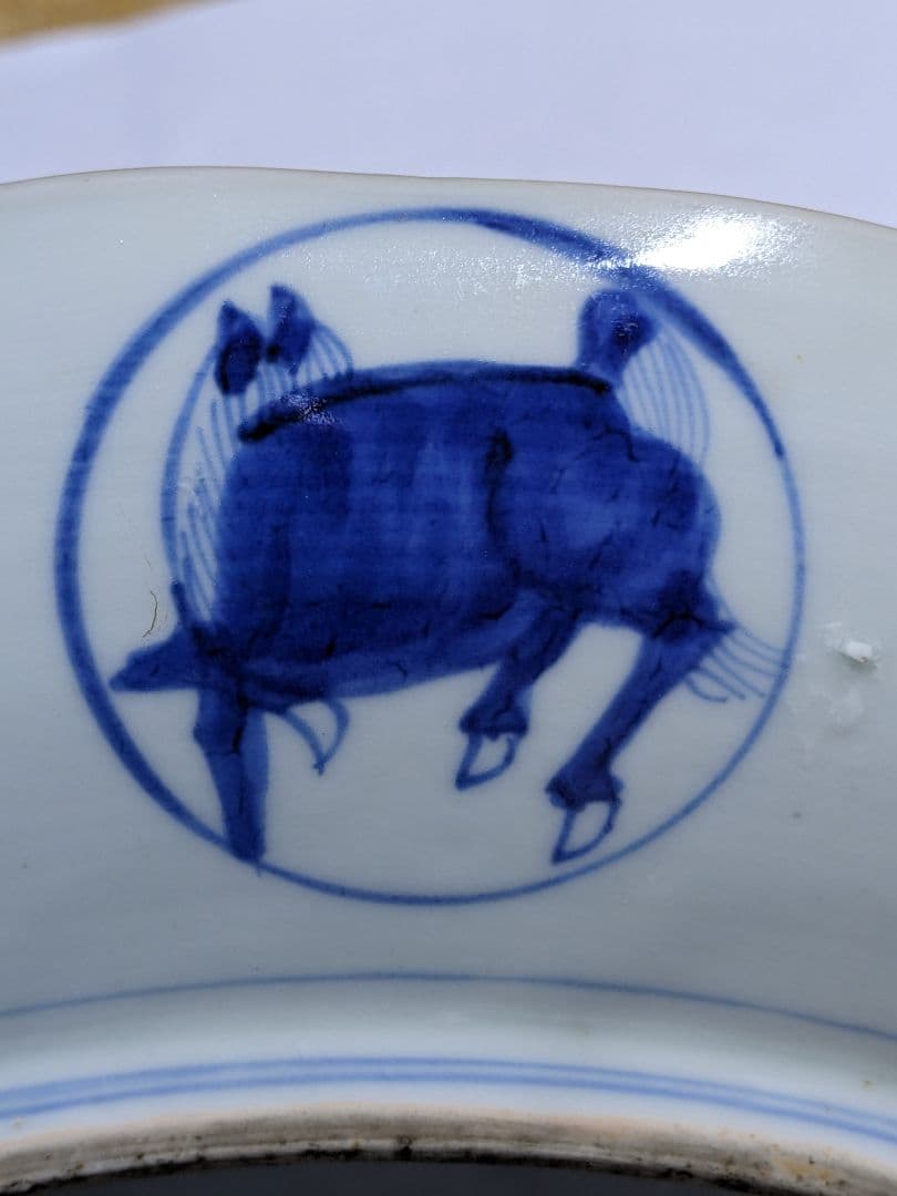 ♦江戸時代 1700年 古伊万里 染付 花唐草 龍紋様 輪花大皿 干支飾り縁起物