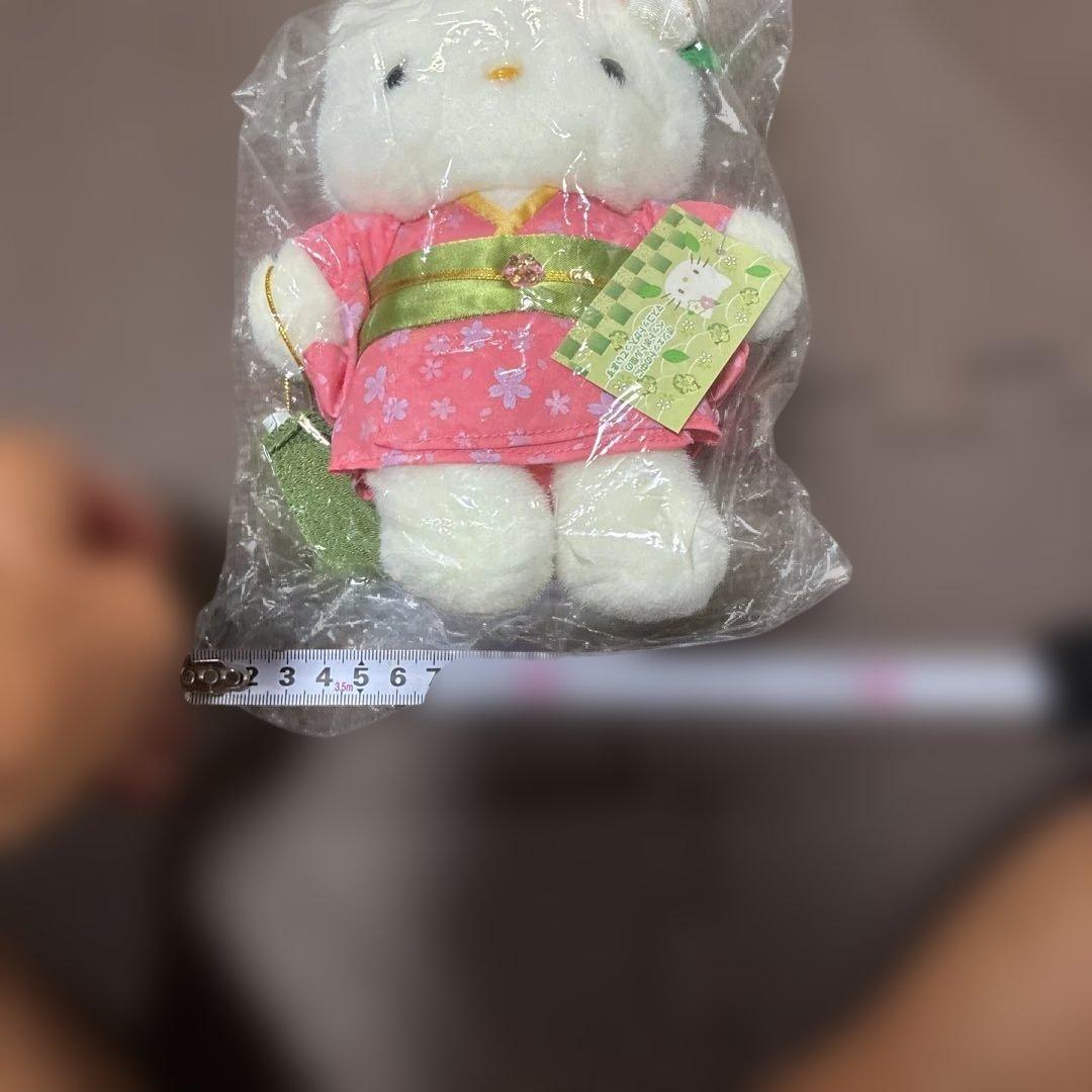 ‼️超希少‼️新品未使用品ハローキティ ぬいぐるみ