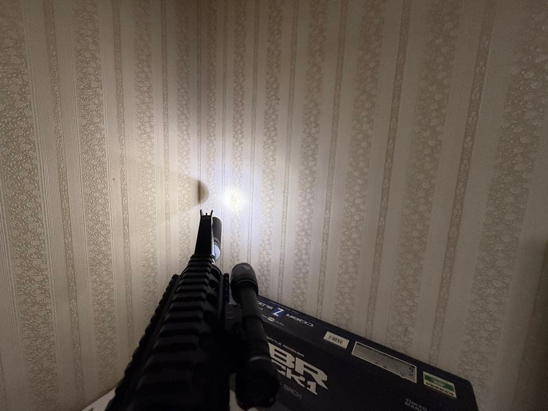 東京マルイ M4 CQB-R ガスブロ 外装カスタム + 迷彩ケース