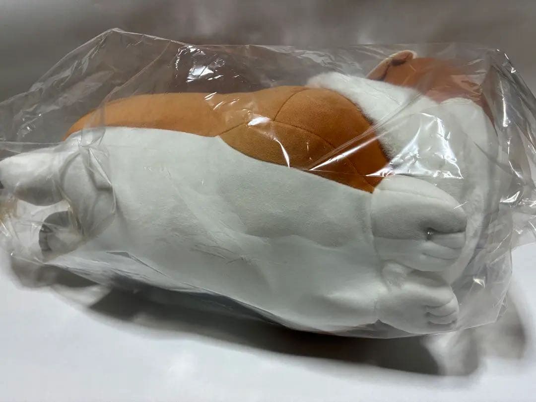 【期間限定】ヨルシカ コーギー ぬいぐるみ suisデザイン 前世 完全受注生産