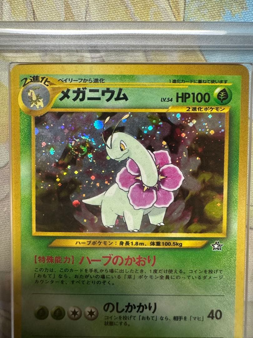 バクフーン　メガニウム　オーダイル　旧裏　ARS10 セット　渦巻き