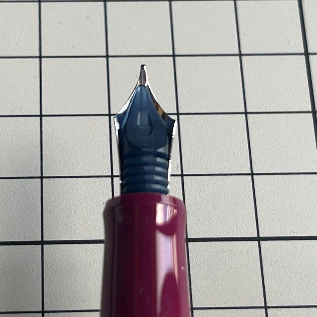 だ*く様 PILOT 万年筆 カスタムヘリテイジ91 山葡萄 ヤマブドウ 中字（