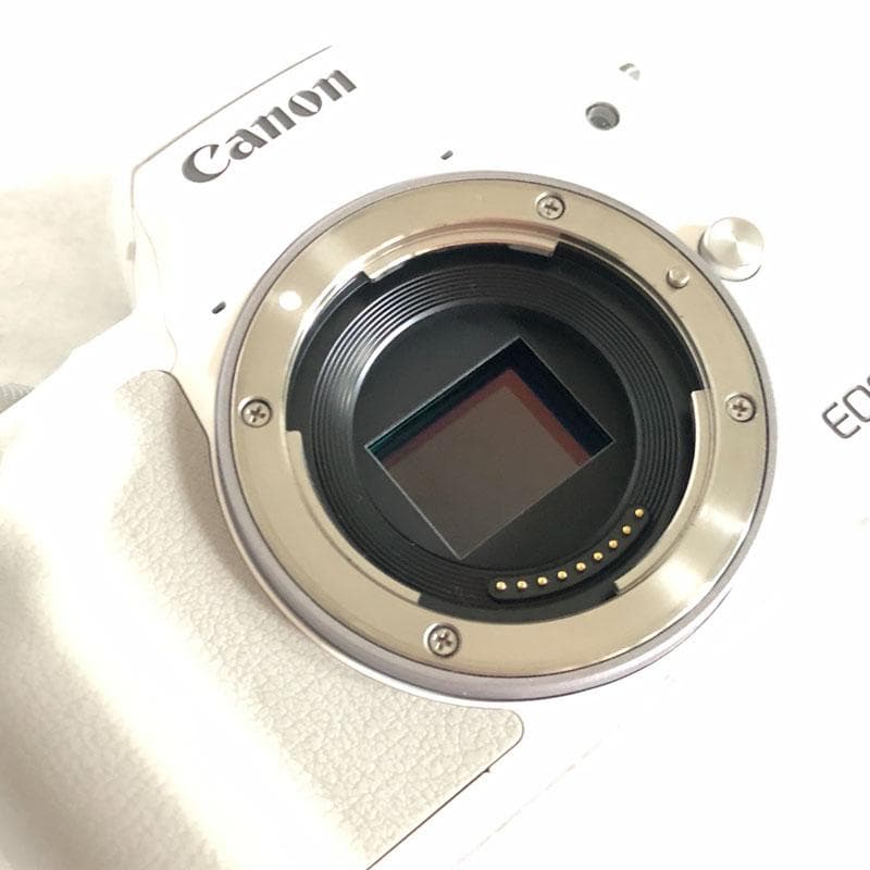 Canon EOS Kiss M ダブルレンズキット ホワイト【美品】おまけ多数