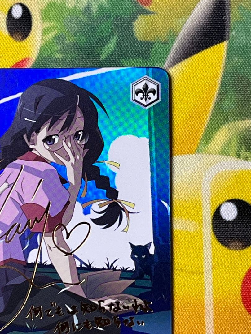 猫に魅せられた少女　羽川翼