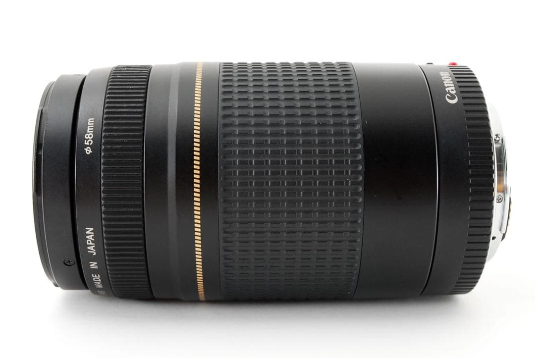 イベント/スポーツ/人気の望遠レンズ/Canon EF75-300㎜