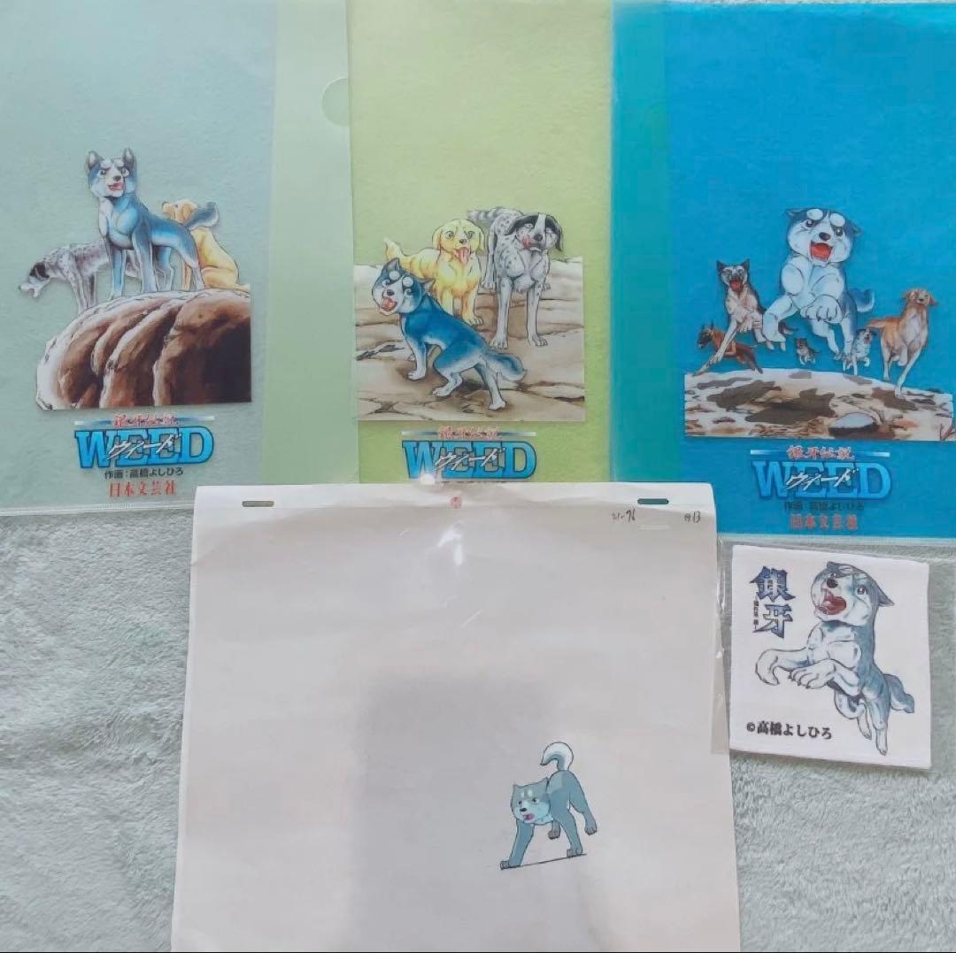 犬キャラクタークリアファイル4枚セット