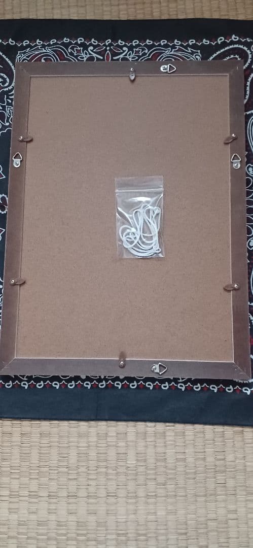 高橋ヒロシ、クローズZERO片桐拳サイン入り額縁入り複製原画