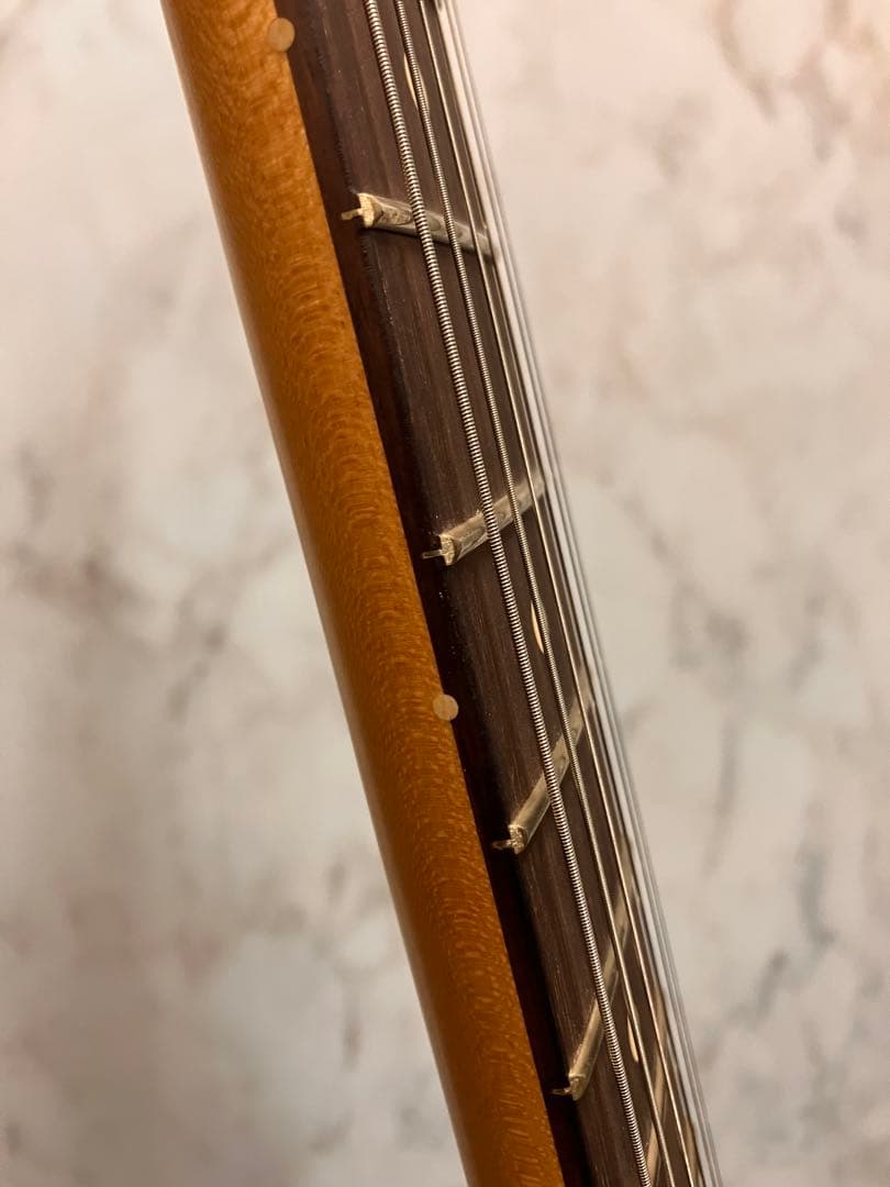 Fender Ltd Player Ⅱ Stratocaster Green