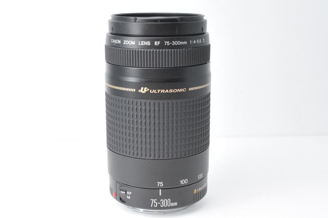 望遠レンズ⭐️Canon EF 75-300mm F4-5.6 Ⅱ USM