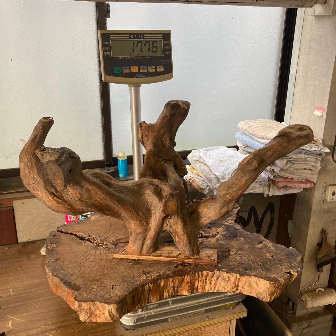 m*o様 引き取り歓迎 流木脚のテーブル 天然木 一枚板 ナチュラル