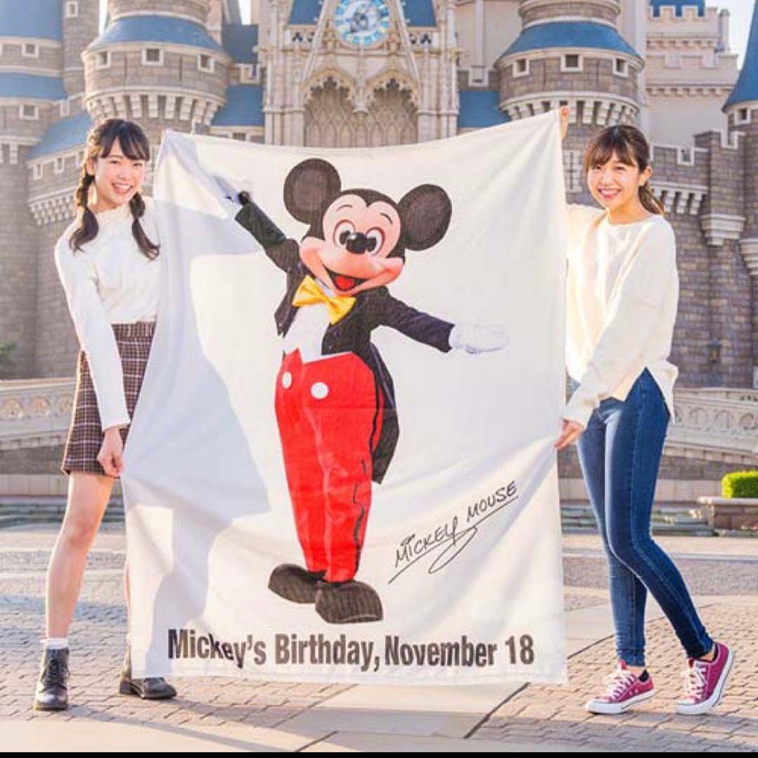 ミッキー　実写　等身大　タオル　ブランケット　新品未開封品　ディズニーランド