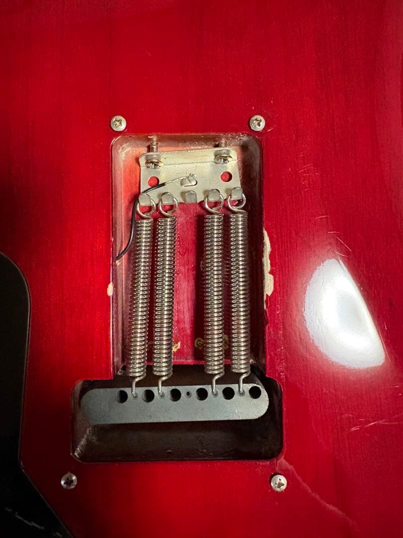 Paul Reed Smith PRS SE custom24 ギグバッグ付き