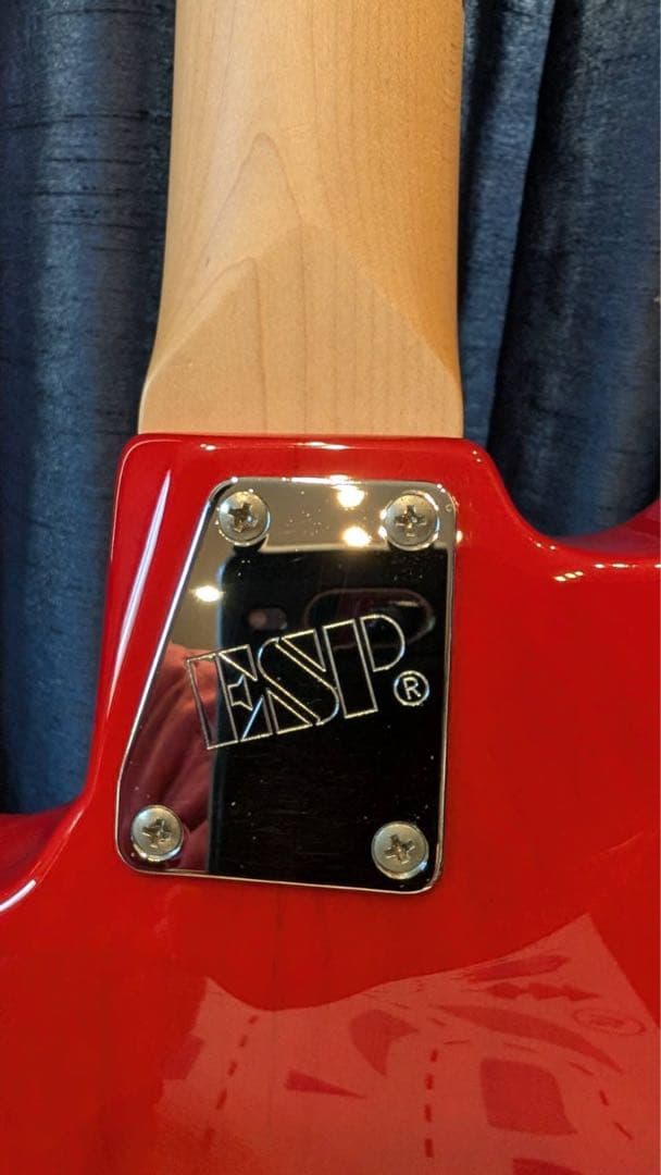 L'Arc～en～Ciel TETSUYA EDWARDS BUZZ BASS