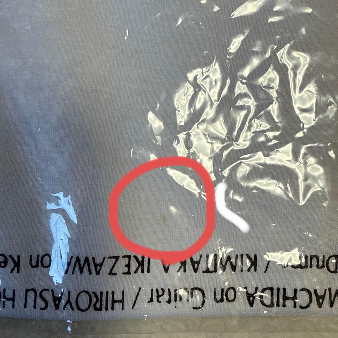 ‼️本日限定価格‼️90s ZARD tシャツ フォトtシャツ　坂井泉水