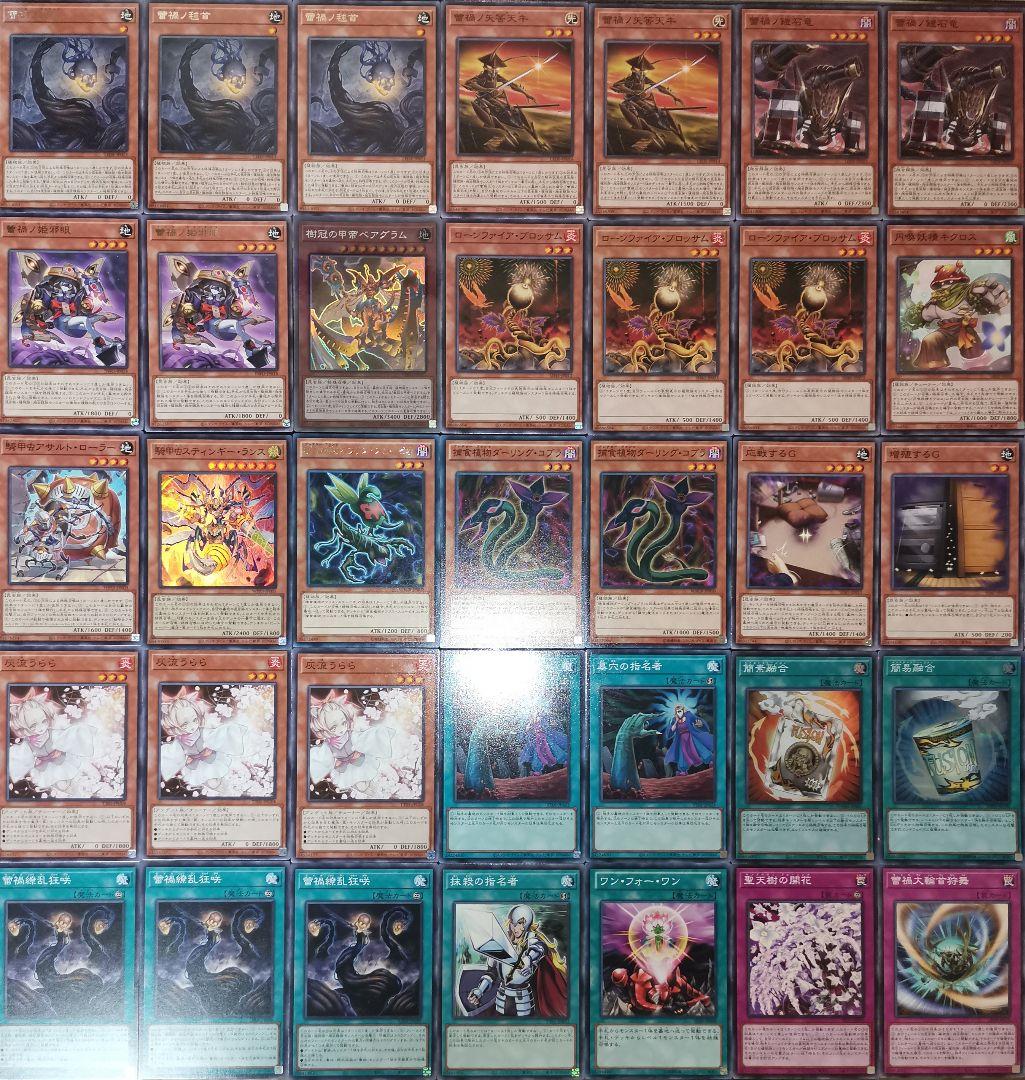 遊戯王デッキ　蕾禍デッキ　ガチ構築