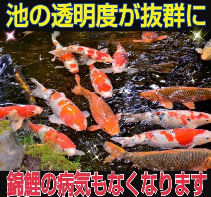 水槽の水が綺麗になります【ヴァルナミニ】有害物質を強力抑制し透明度が抜群に！