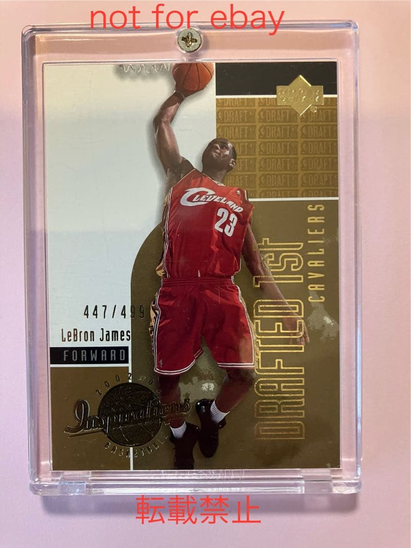UD inspirations Lebron James RC 499枚限定
