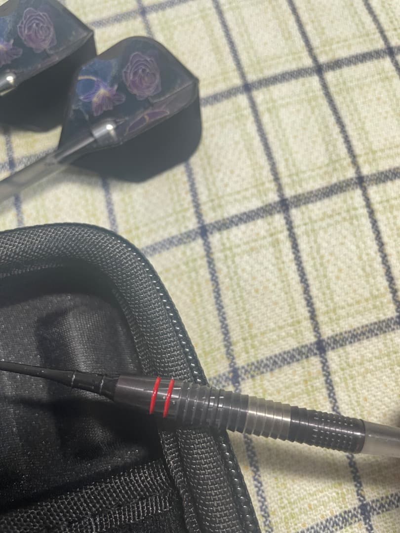 【美品】期間限定価格‼︎ダーツ2本セット　ケース,チップなど有り