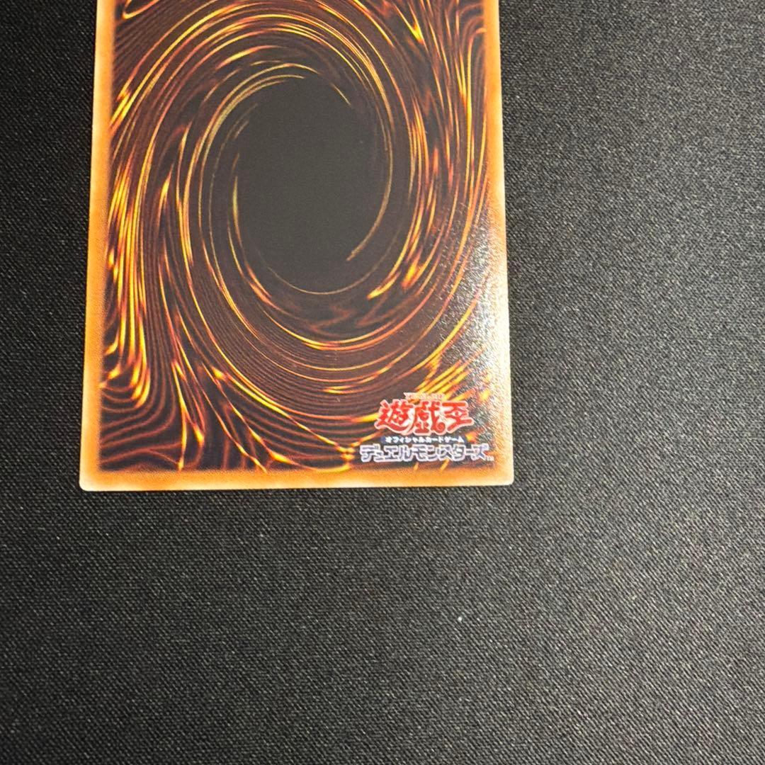 ブラックローズドラゴン ホロ 遊戯王