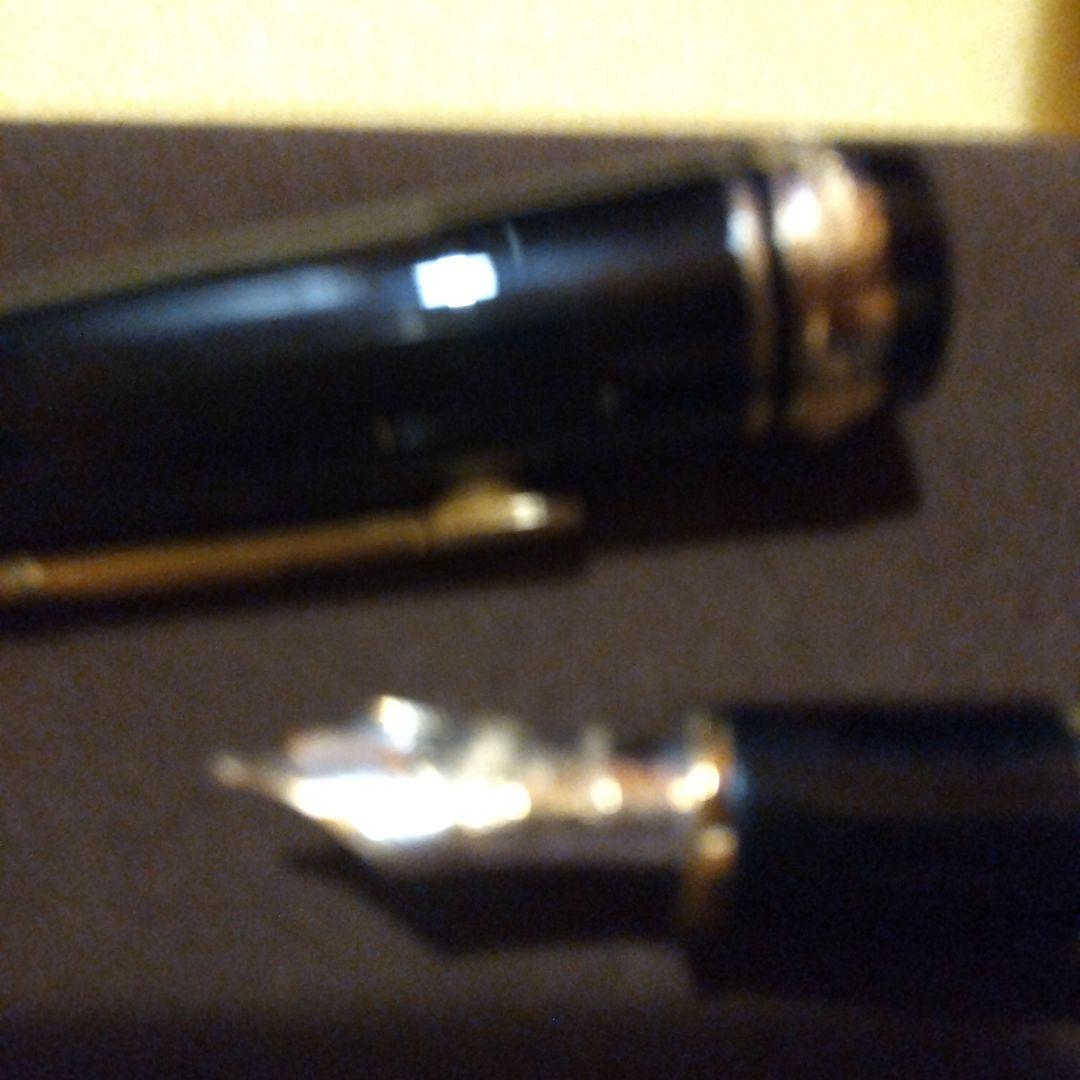 赤字覚悟 PLATINUM 万年筆 黒 金メッキ