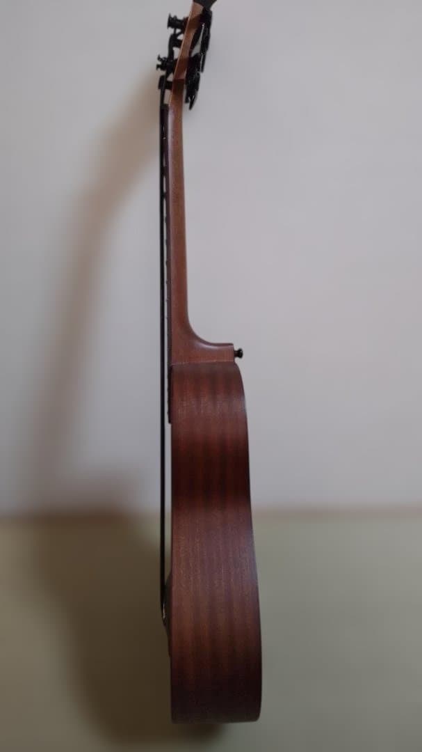 KALA KA-UBASS FS カラ ウクレレベース