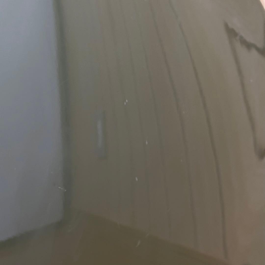 Gretsch グレッチ 6118 anniversary 93年 ハードケース