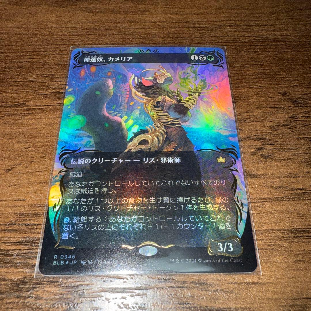 種選奴、カメリア　レイズドfoil 日本語