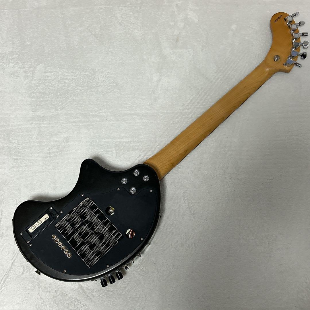 FERNANDES DIGI-ZO Hyper メタリックブラック