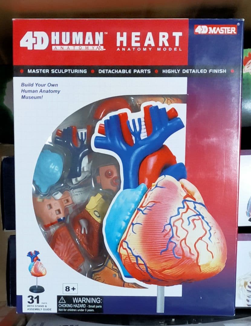 立体パズル4D VISION