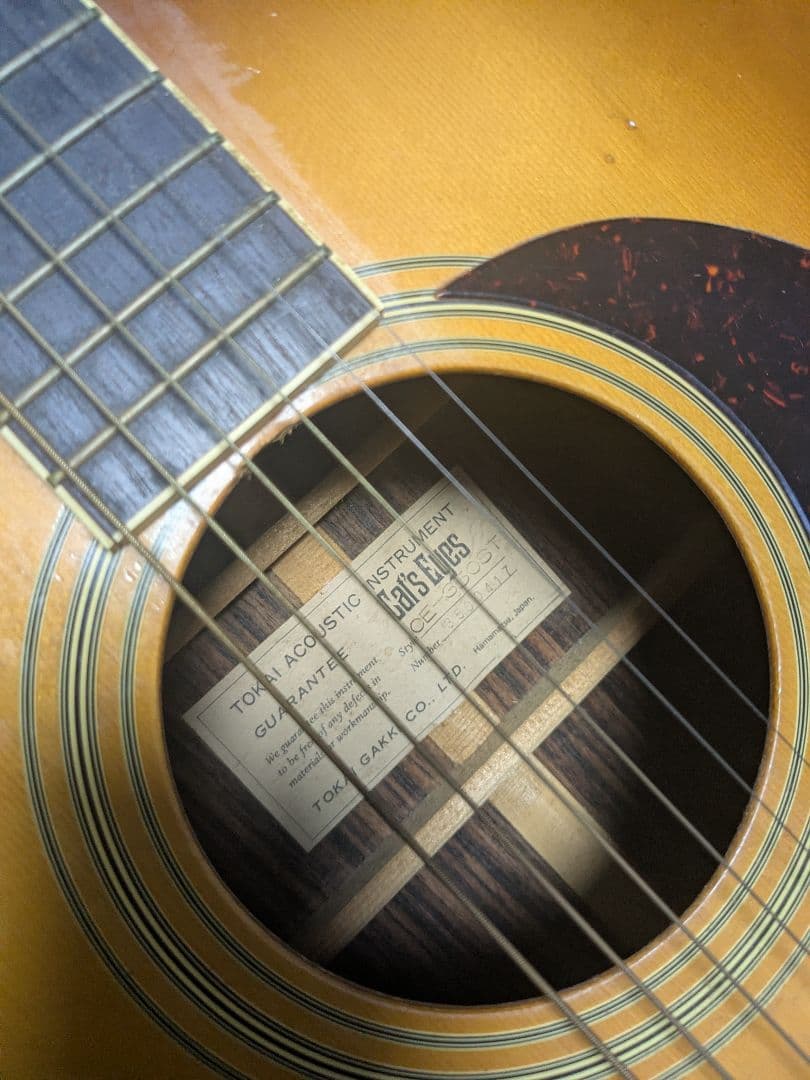 送料無料 Cat's Eyes アコースティックギター ブラウン ハードケース付