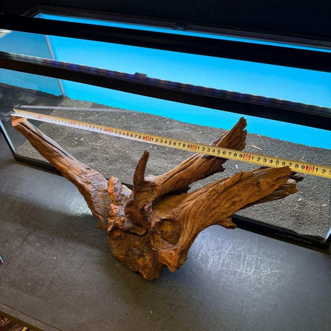 MRW-6797 特大赤系流木　アーチ流木　一点物　90cm水槽用