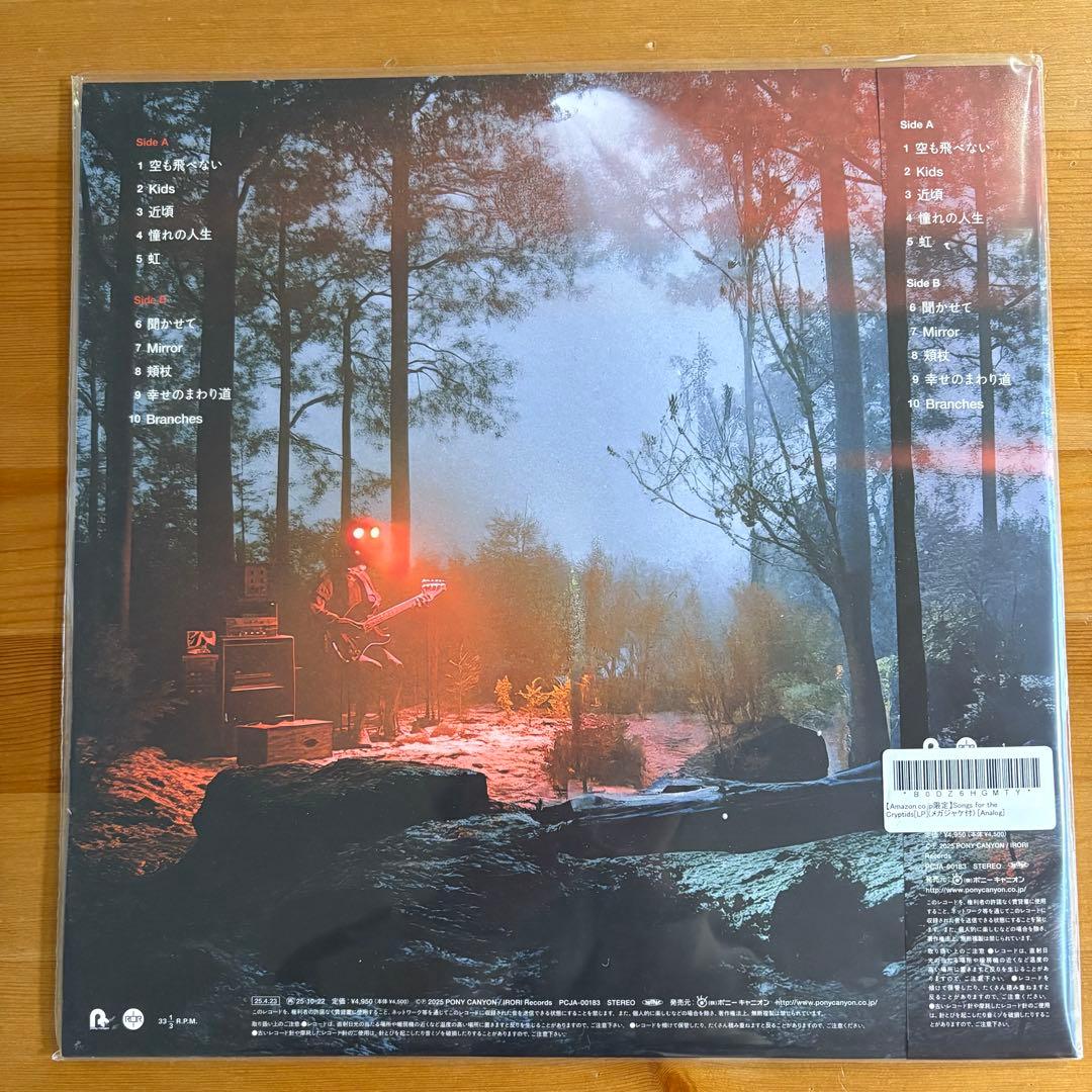 【新品未開封】Bialystocks ビアリストックス レコードLP2枚セット