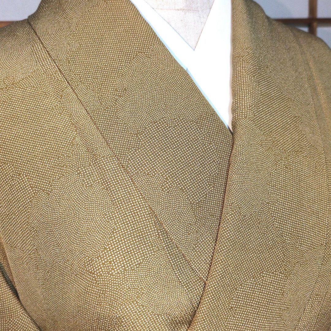 美品 江戸小紋 三役寄せ柄訪問着 丈161.5 裄67 ガード加工