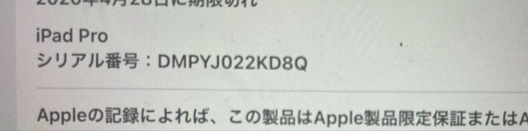 iPad pro 11 キーボード ペンシル 大容量512GB 純正