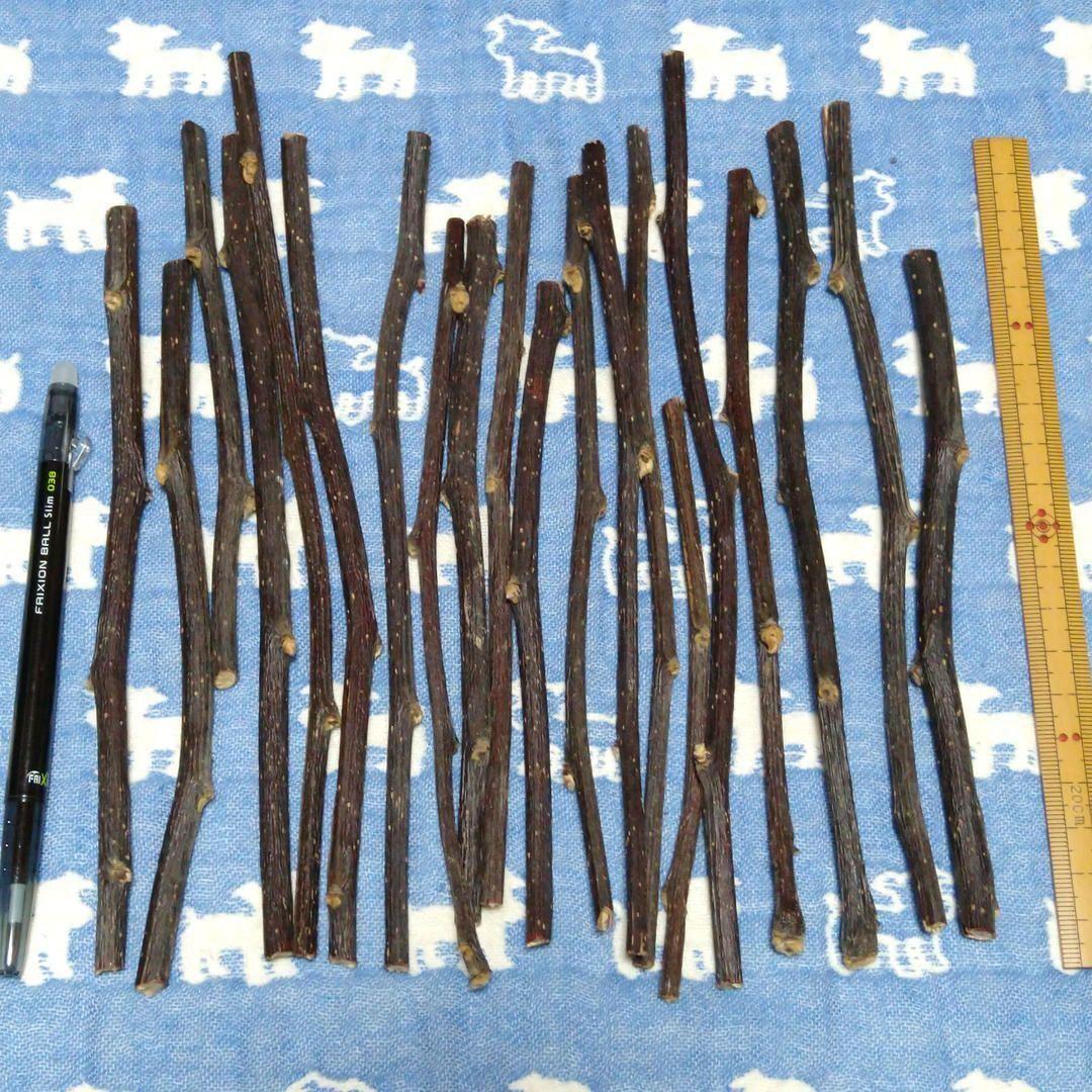 ロングタイプ75g20本前後、乾燥梨の木、小動物デグーハムスターおもちゃかじり木