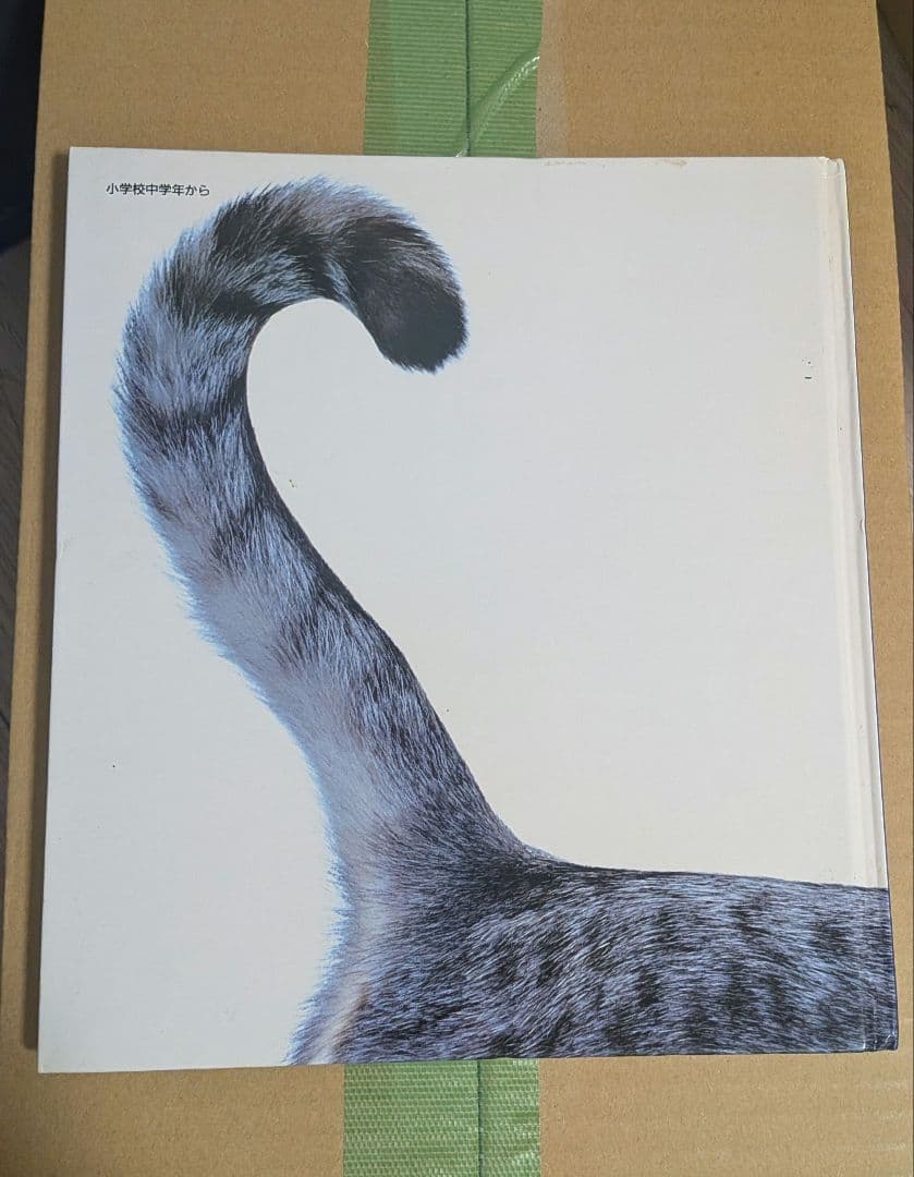 ネコ 図鑑 年代物